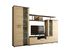 Венге/Дуб сонома светлый